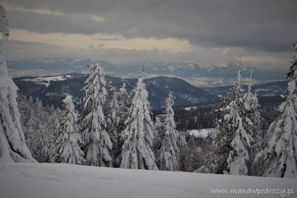 Madohora i Potrójna z Rzyk [Beskid Mały]