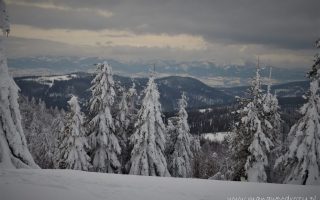 Madohora i Potrójna z Rzyk [Beskid Mały]