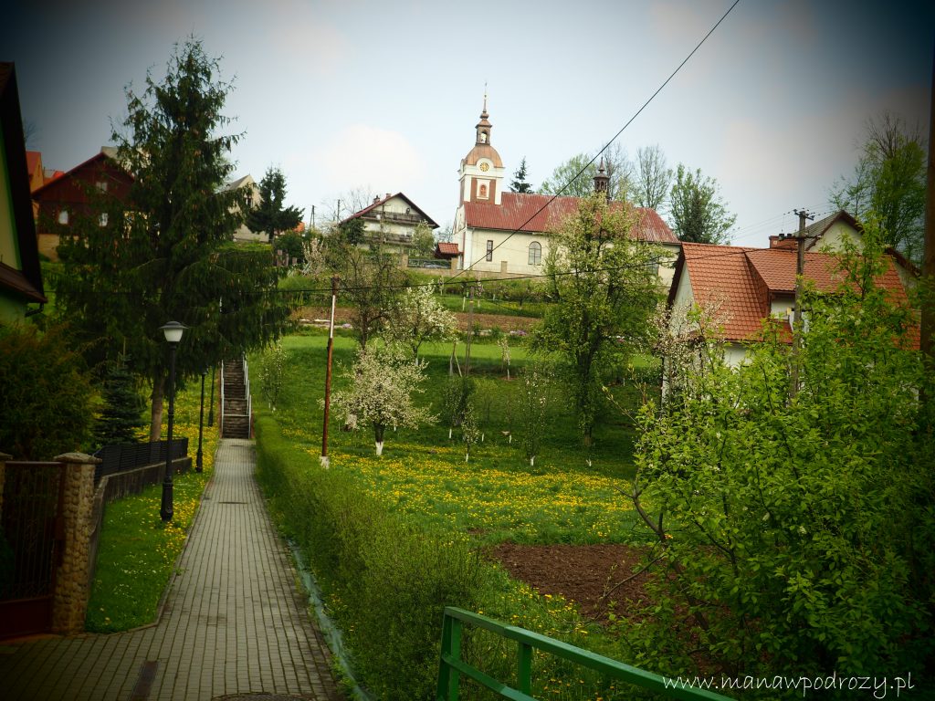 Mały Szlak Beskidzki, Palcza