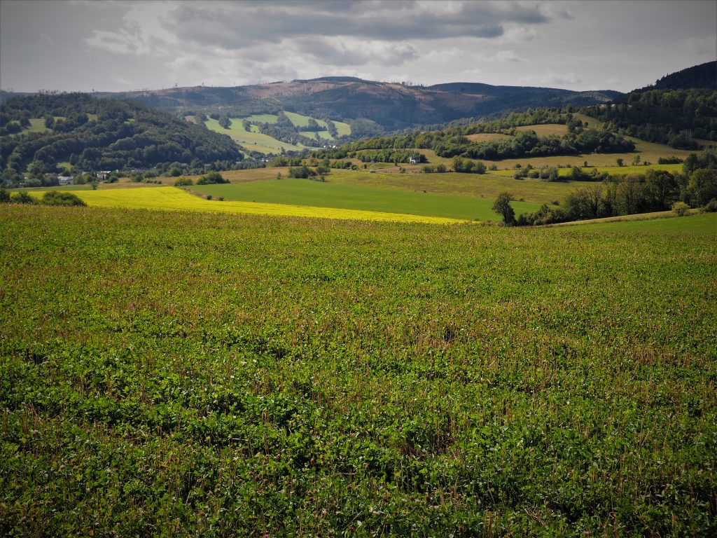 Prudnicki Maraton Pieszy - trasa czeska! [Góry Opawskie]