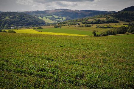 Prudnicki Maraton Pieszy - trasa czeska! [Góry Opawskie]