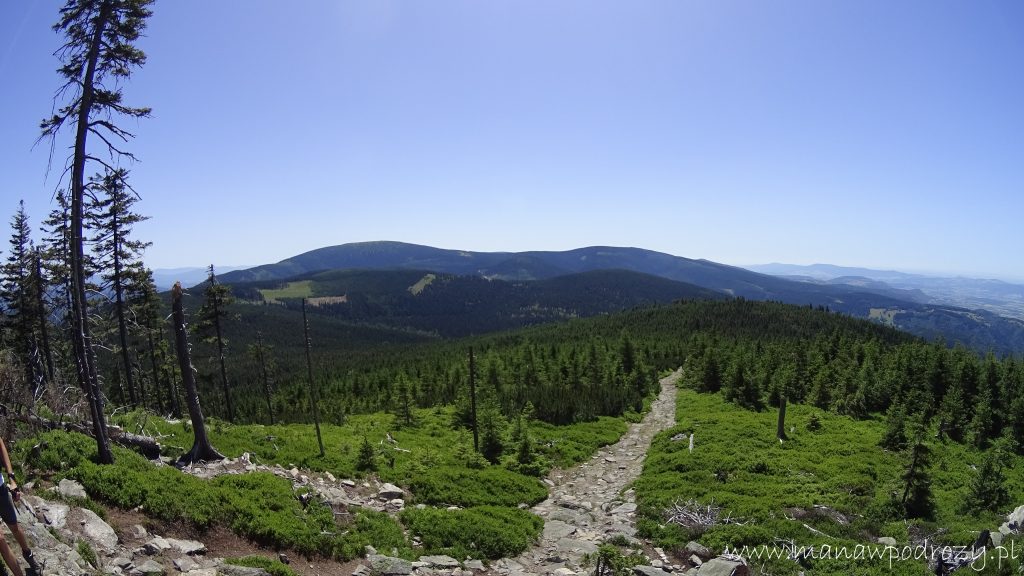 Igliczna, Czarna Góra, Żmijowiec [Masyw Śnieżnika]