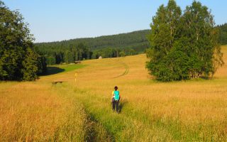 Czartowiec i Spicak [Góry Złote]