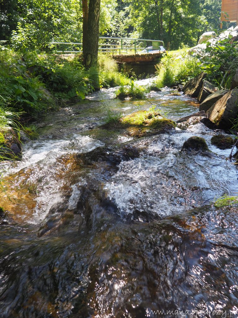 Igliczna, Czarna Góra, Żmijowiec [Masyw Śnieżnika]