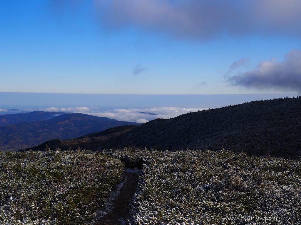 Śnieżka - szlaki, mapa, schroniska [Karkonosze]