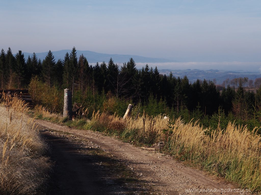 Bile Kameny, wieża widokowa Hemberk (Kremenac) -opis szlaku [Góry Rychlebskie]