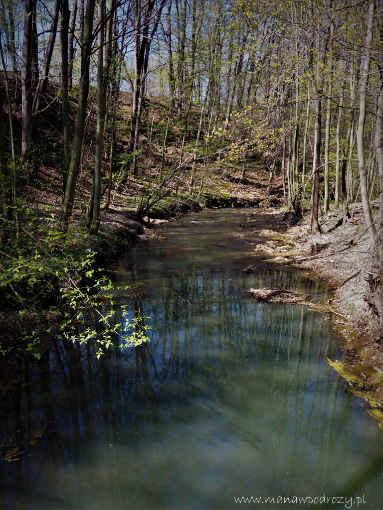 Ścieżka Hochbergów