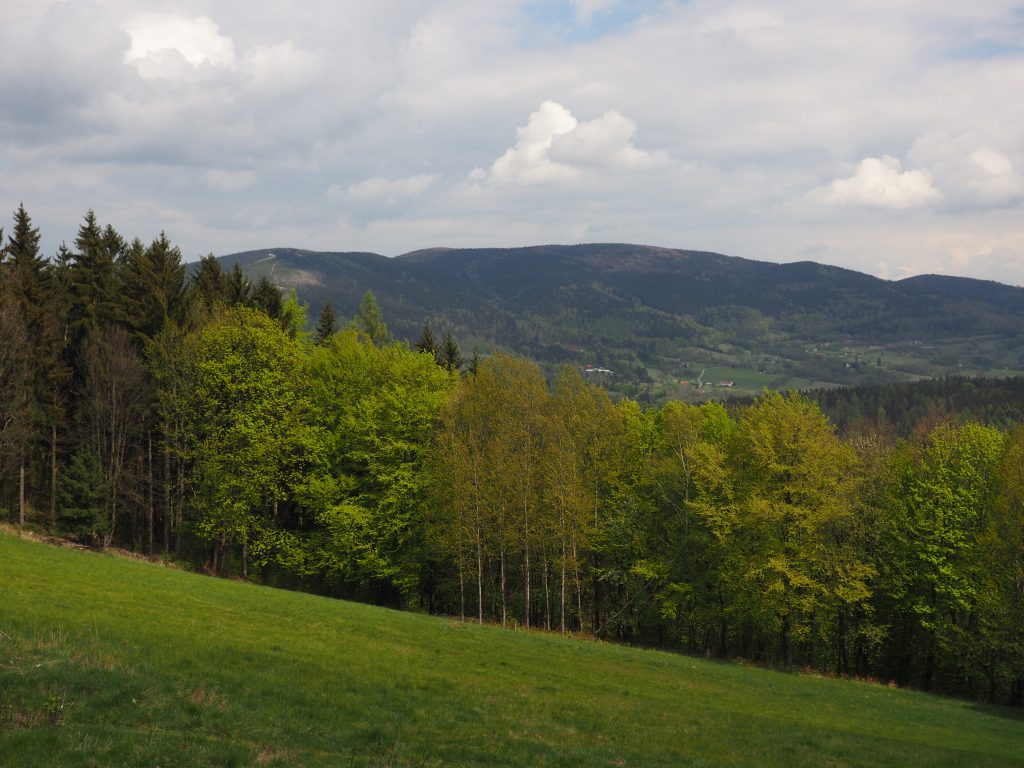 Widok na Kalenicę