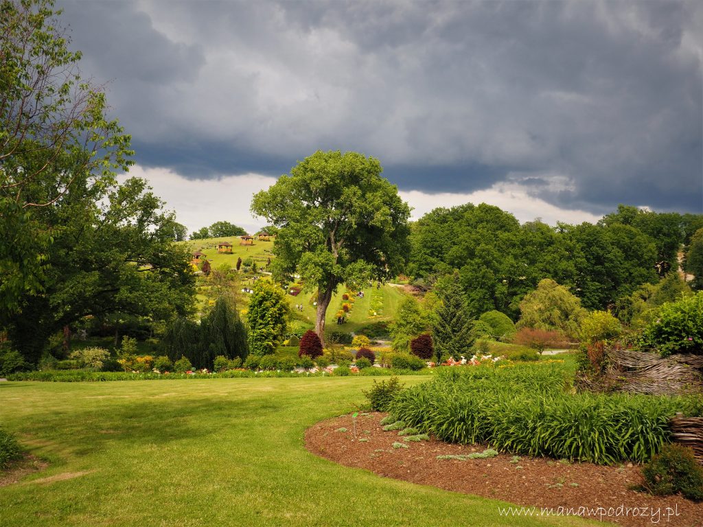 Arboretum w Wojsławicach