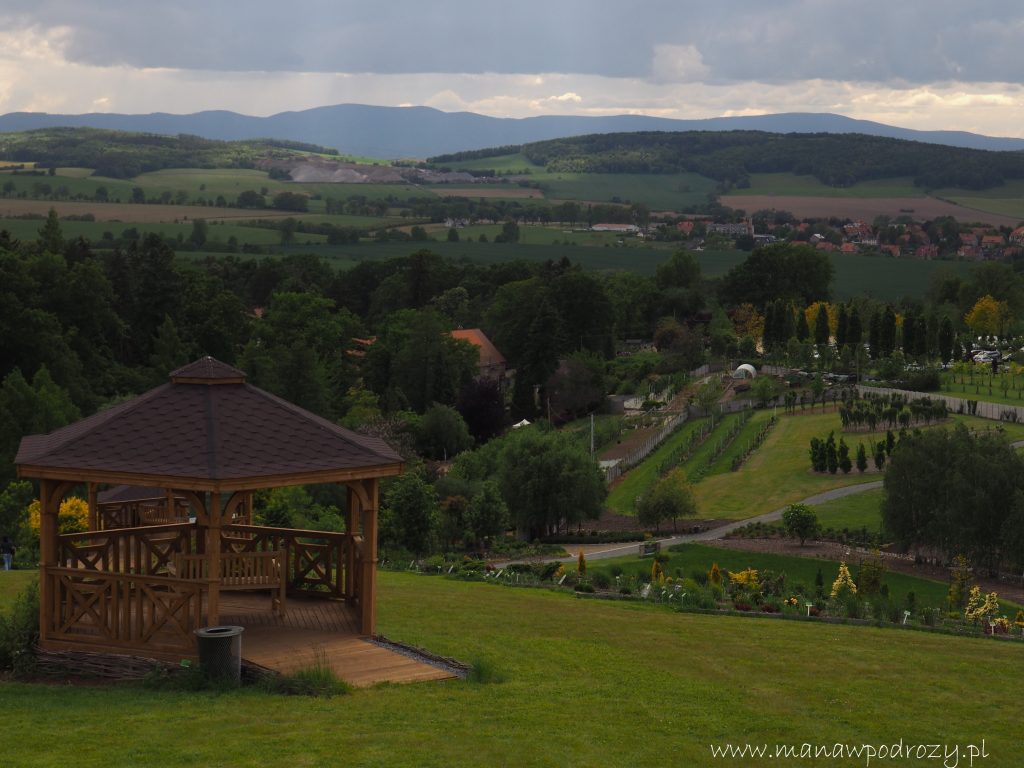 Arboretum w Wojsławicach - zwiedzanie, dojazd