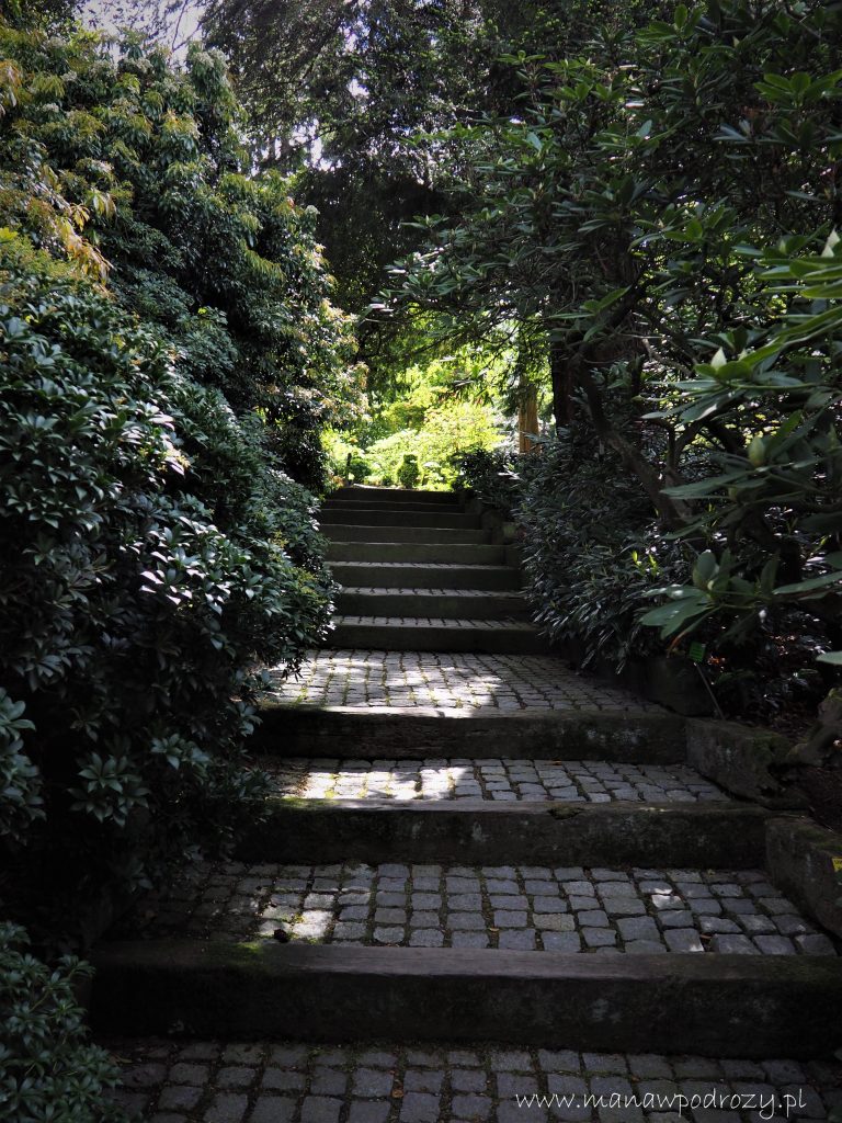 Arboretum w Wojsławicach - zwiedzanie, dojazd