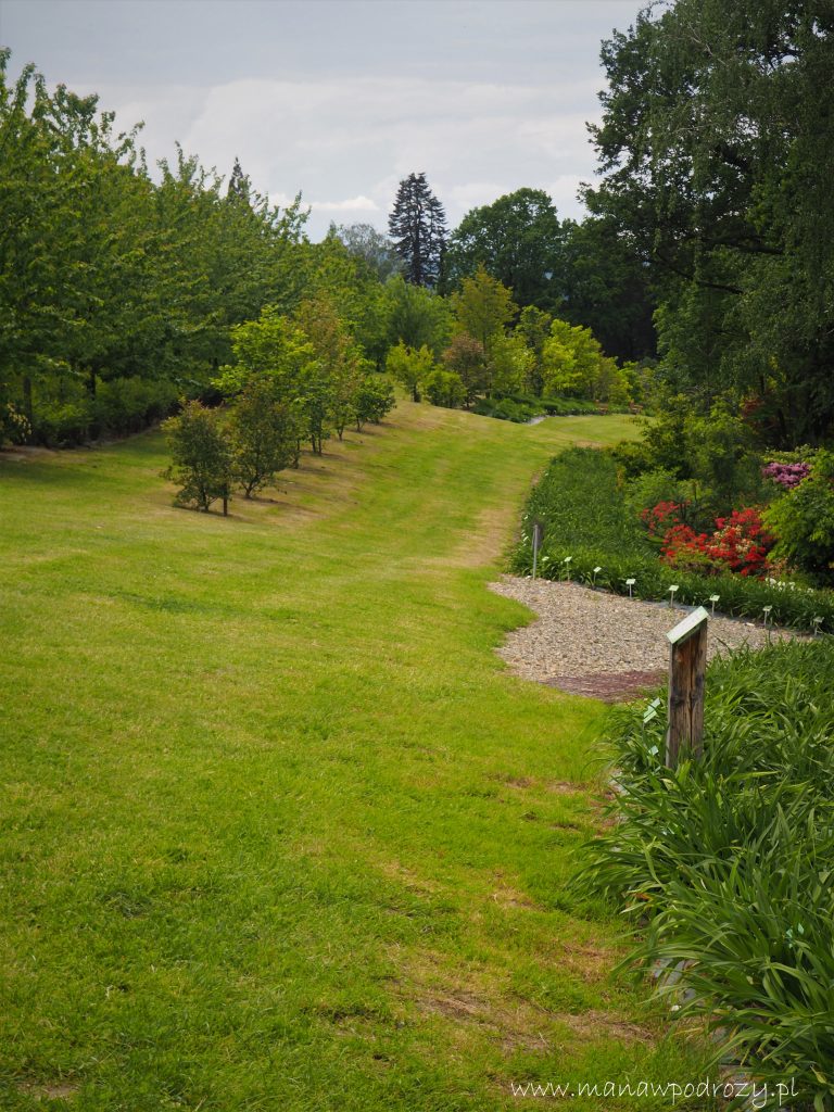 Arboretum w Wojsławicach - zwiedzanie, dojazd