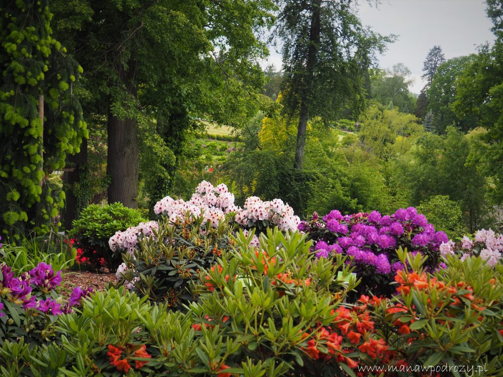 Arboretum w Wojsławicach - zwiedzanie, dojazd