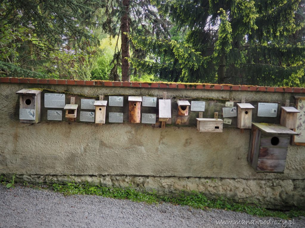 Arboretum w Wojsławicach - zwiedzanie, dojazd