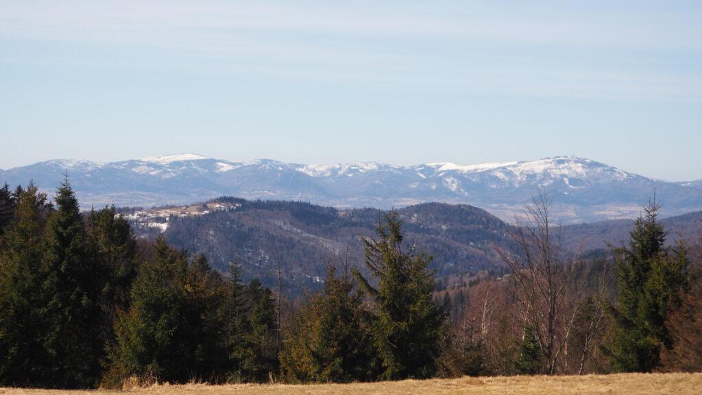 Potrójna - widok na Tatry