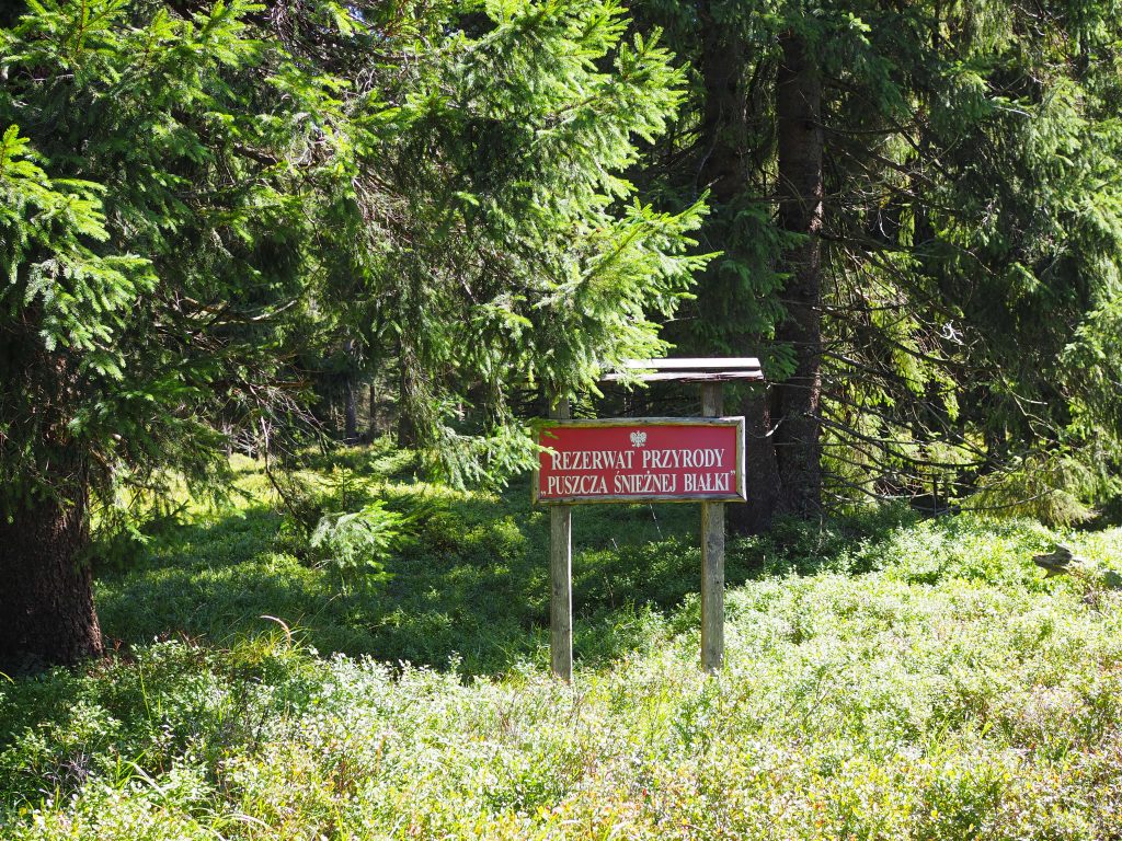 Rudawiec (1106 m n.p.m.) - szlaki, mapa, Korona Gór Polski