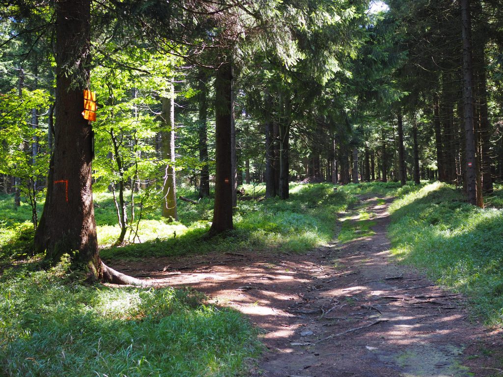 Rudawiec (1106 m n.p.m.) - szlaki, mapa, Korona Gór Polski