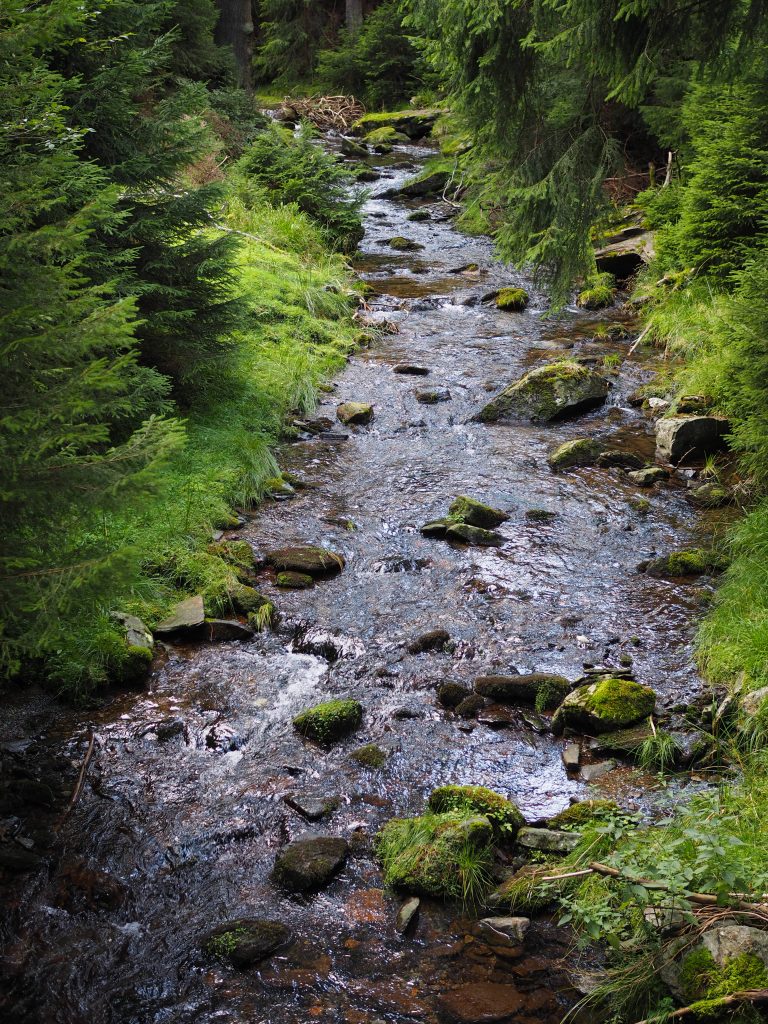 Rudawiec (1106 m n.p.m.) - szlaki, mapa, Korona Gór Polski