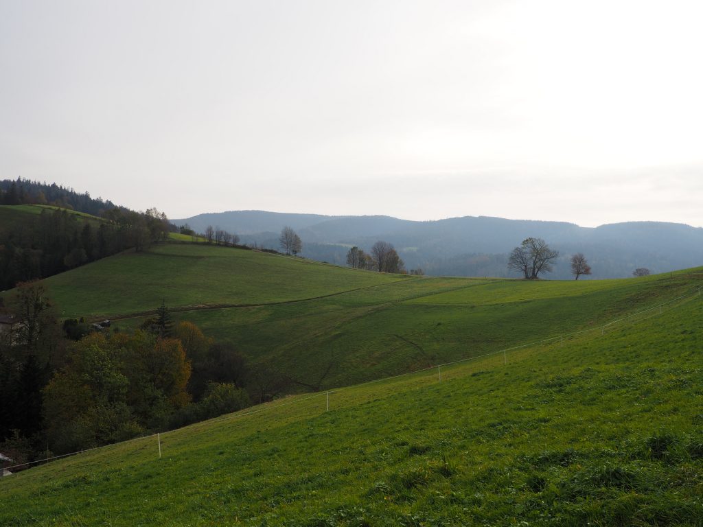 Końcowe podejście na Cienków Niżni