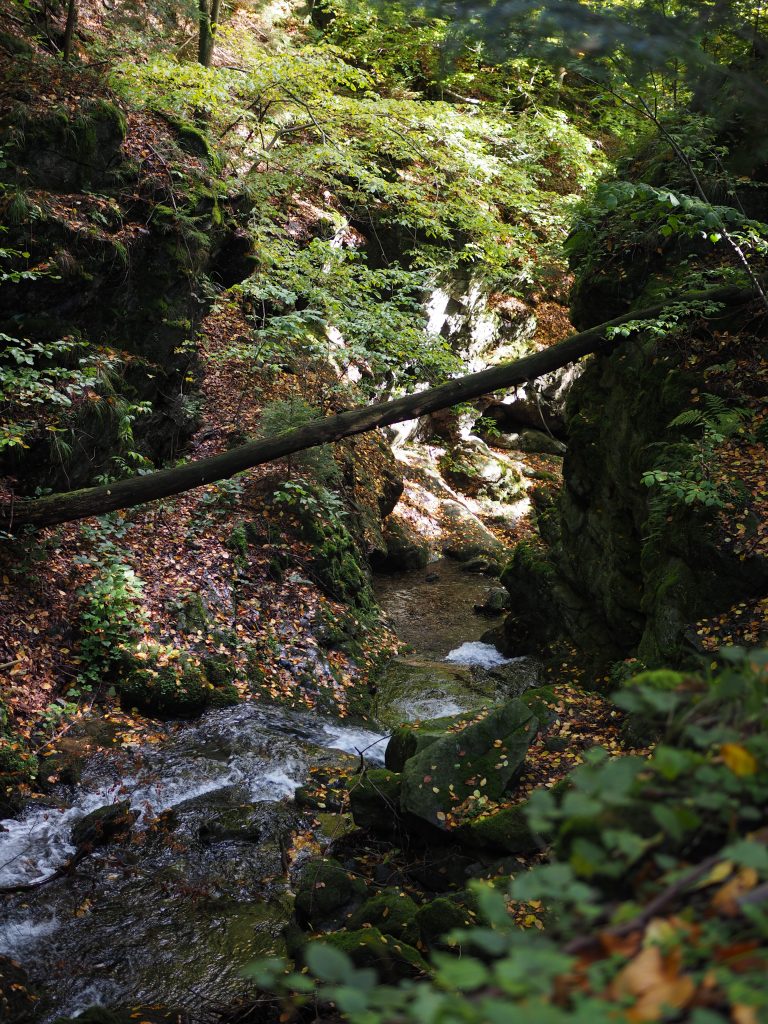 Kowadło - szlaki, mapa, Korona Gór Polski [Góry Złote]