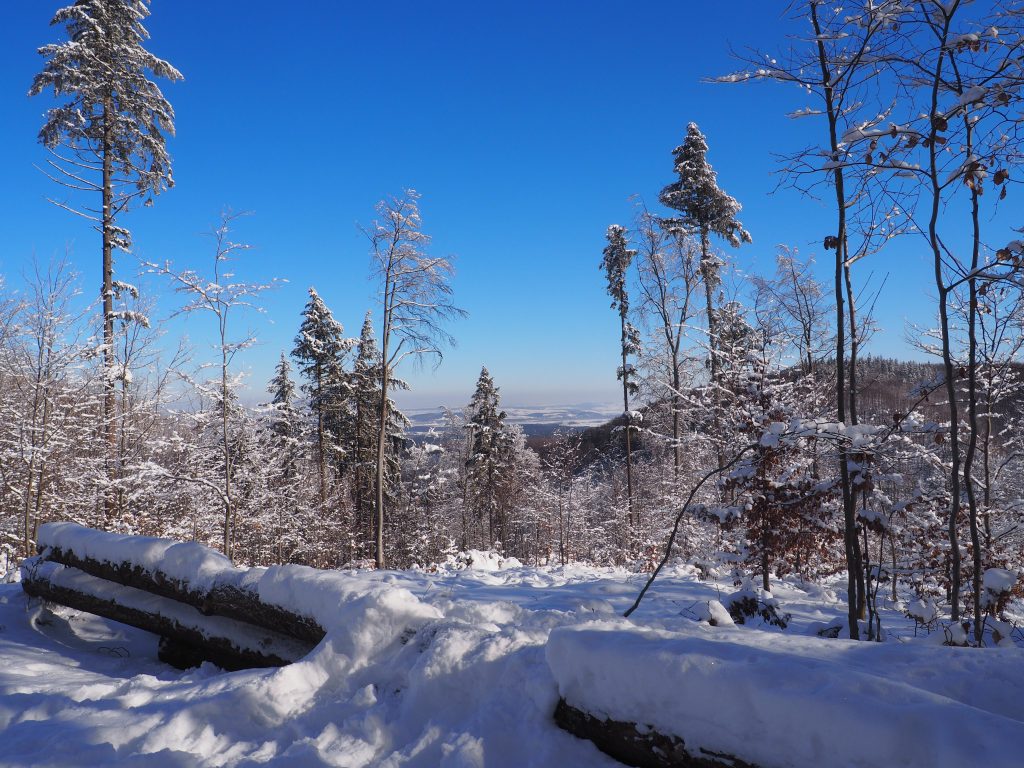 W kierunku Jeziora Otmuchowskiego