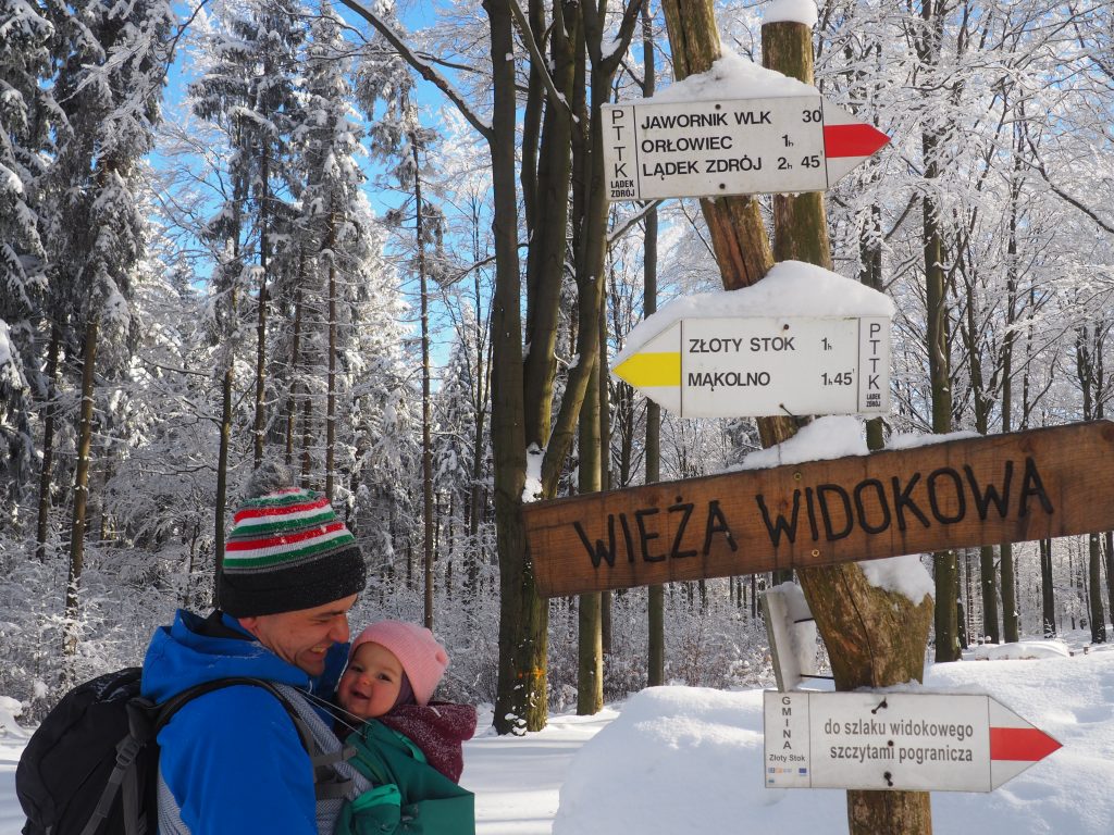 Z Przełęczy pod Trzeboniem na Jawornik Wielki jest zaledwie 30 minut drogi