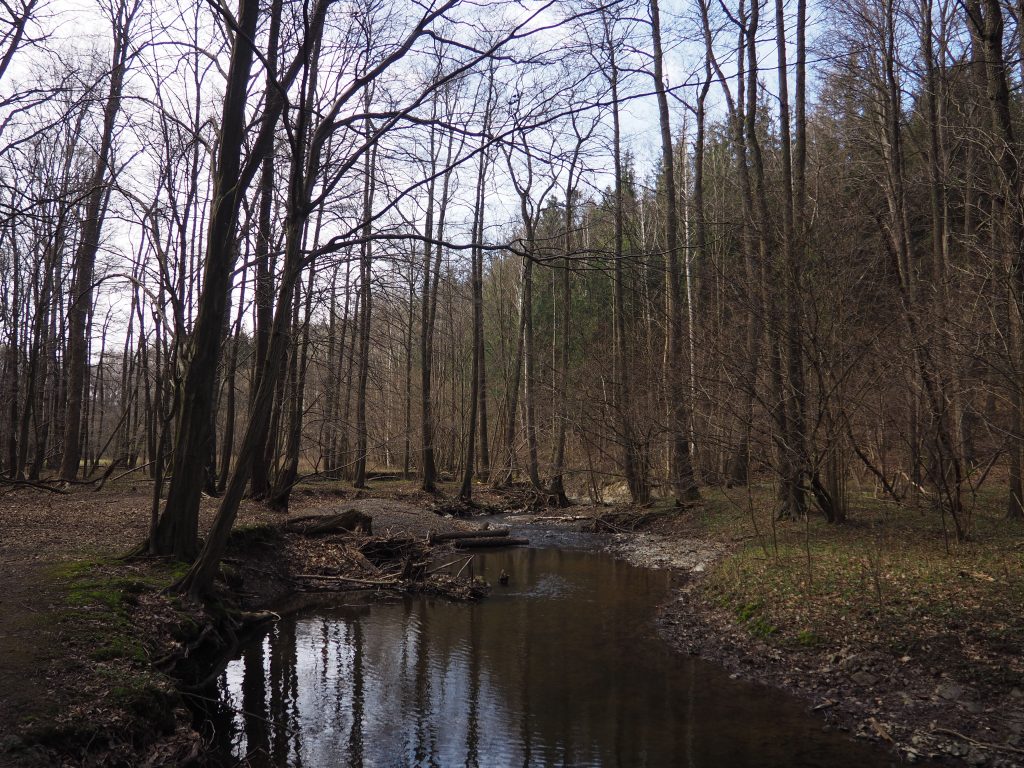 Kraina Wygasłych Wulkanów