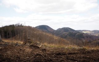 Borowa i Jałowiec z Jedliny-Zdroju - opis szlaku [Góry Wałbrzyskie]