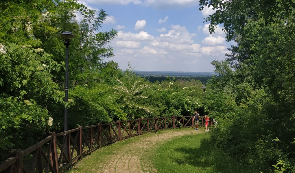 Śląski Ogród Botaniczny w Mikołowie - dojazd, zwiedzanie, czy warto przyjechać?