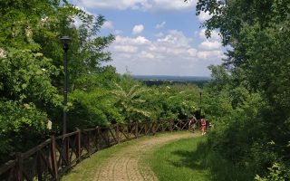 Śląski Ogród Botaniczny w Mikołowie - dojazd, zwiedzanie, czy warto przyjechać?