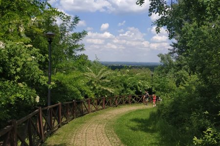 Śląski Ogród Botaniczny w Mikołowie - dojazd, zwiedzanie, czy warto przyjechać?