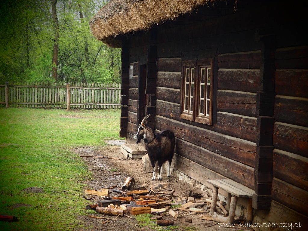 Muzeum Wsi Opolskiej - dojazd, zwiedzanie, bilety