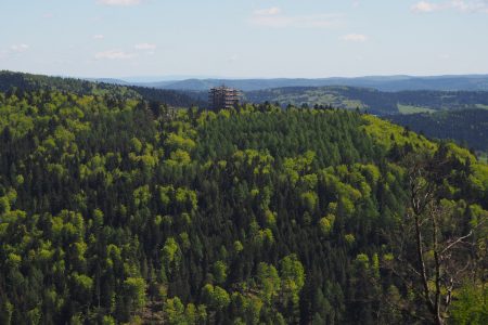 Wieża widokowa w Krynicy-Zdroj na szczycie stacji narciarskiej Słotwiny