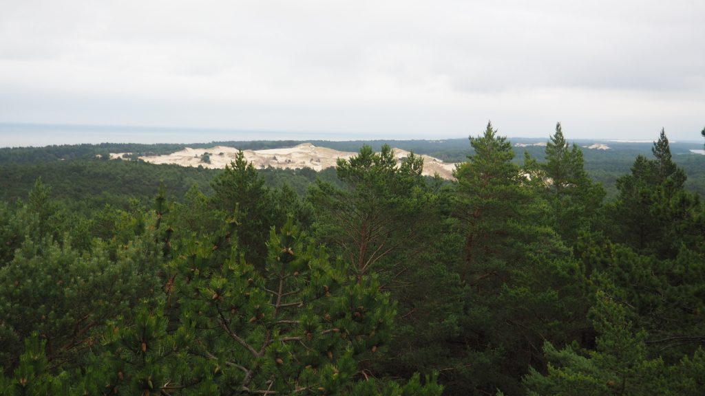 Wydma Czołpińska - dojazd, szlak, latarnia morska [Słowiński Park Narodowy]