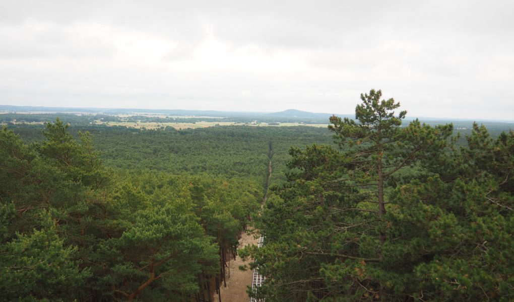 Rowokół - szlak, wieża widokowa [Słowiński Park Narodowy]