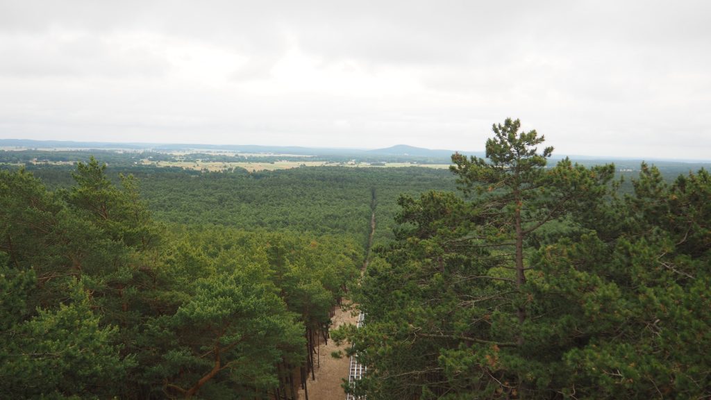 Wydma Czołpińska - dojazd, szlak, latarnia morska [Słowiński Park Narodowy]