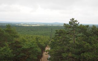 Rowokół - szlak, wieża widokowa [Słowiński Park Narodowy]