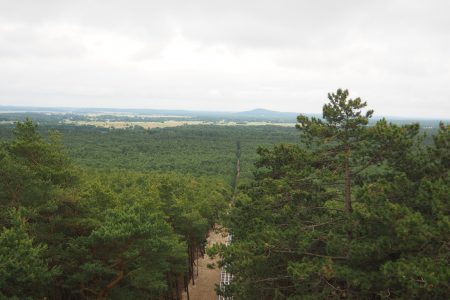 Rowokół - szlak, wieża widokowa [Słowiński Park Narodowy]