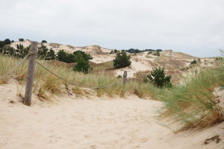 Wydma Czołpińska - dojazd, szlak, latarnia morska [Słowiński Park Narodowy]