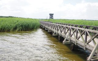 Jezioro Łebsko - dojazd, szlak [Słowiński Park Narodowy]