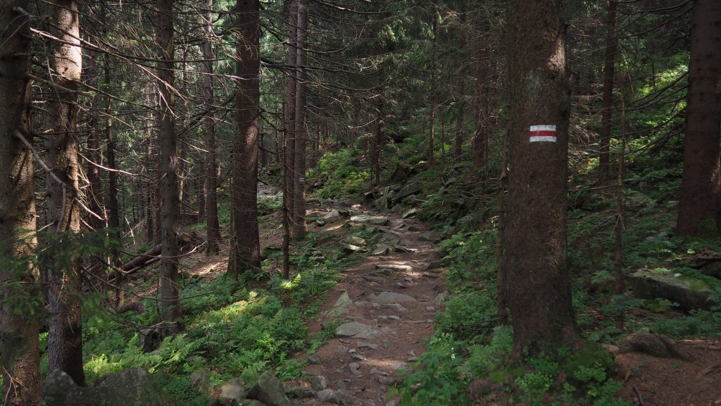 Pilsko - szlak, mapa, schronisko [Beskid Żywiecki]