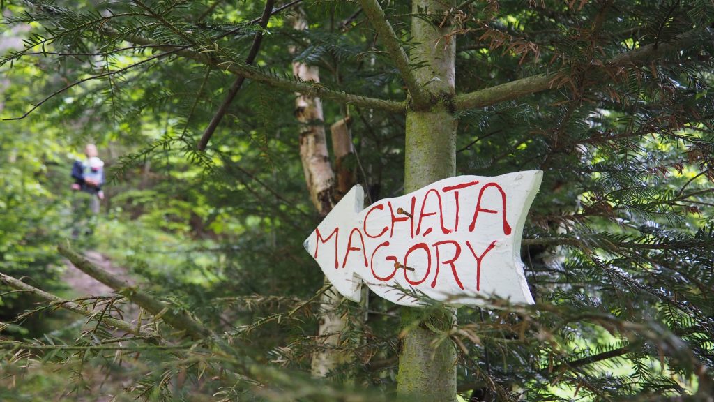 Eliaszówka - opis szlaku, wieża widokowa [Beskid Sądecki]