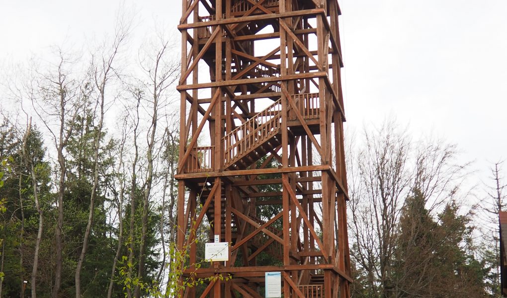 Eliaszówka - opis szlaku, wieża widokowa [Beskid Sądecki]