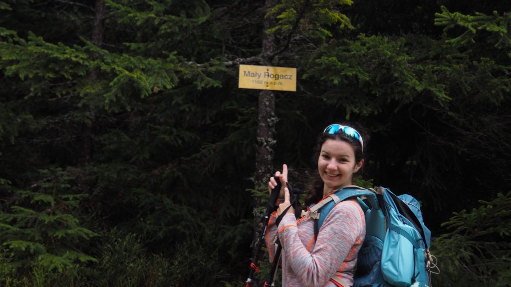 Radziejowa z Przełęczy Obidza -szlak, mapa [Beskid Sądecki]