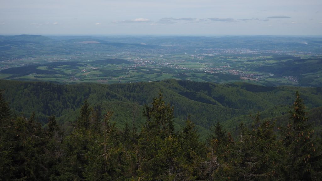 Radziejowa z Przełęczy Obidza -szlak, mapa [Beskid Sądecki]