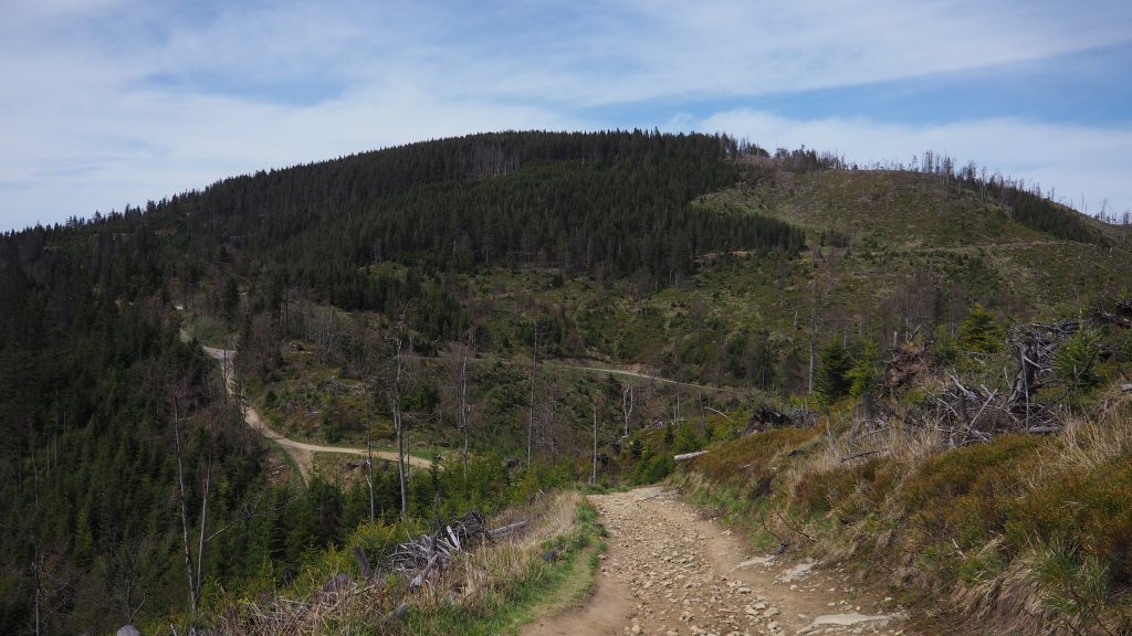 Radziejowa z Przełęczy Obidza -szlak, mapa [Beskid Sądecki]