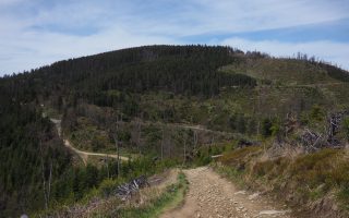 Radziejowa z Przełęczy Obidza -szlak, mapa [Beskid Sądecki]