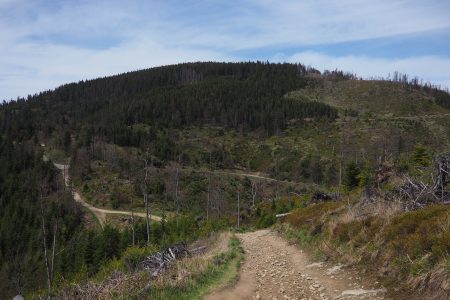 Radziejowa z Przełęczy Obidza -szlak, mapa [Beskid Sądecki]