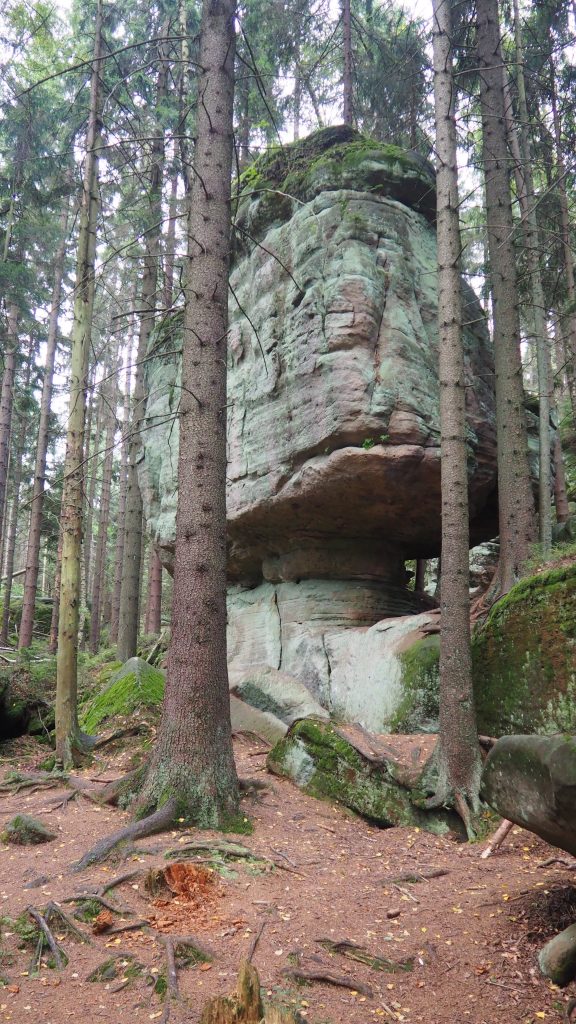 Skała Pielgrzym z Wambierzyc [Góry Stołowe]