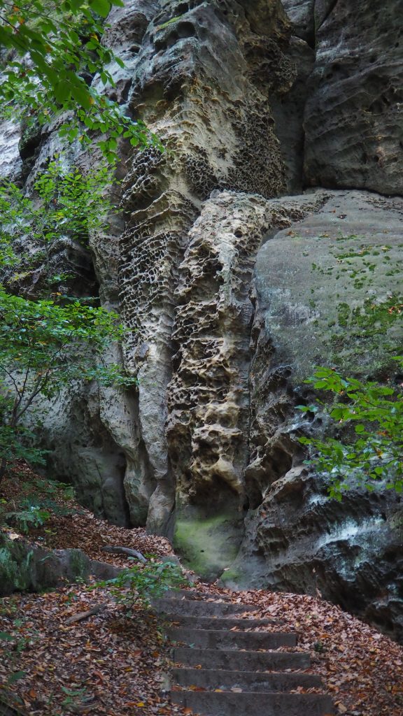 Szwajcaria Saksońska - Bastei, Kuhstall, Frienstein (co warto zobaczyć?)